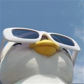Chư