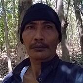 Gấp