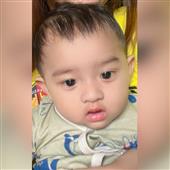 Giả