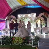 Dự 