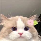 Lịc