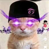 Đặt