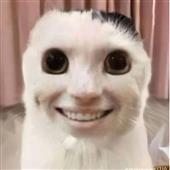 xúc