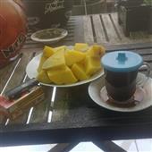 Giả