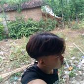 Bữa