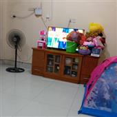 Giả
