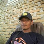 Cây