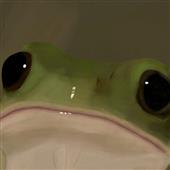 Máy