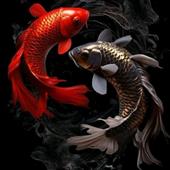 Nhà