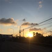 Đấu