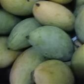 Đấu