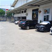สัต