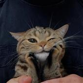 xì 