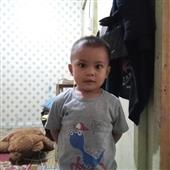 Quả