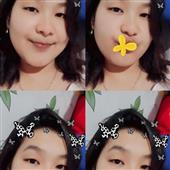 Giả