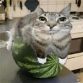 Các