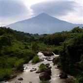 DIỄ