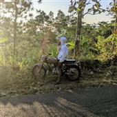 Trự