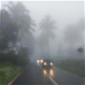 Giả