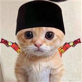 Rắn