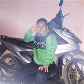 Giả