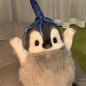 đội
