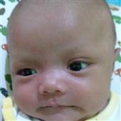 Giả