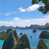 Dự 