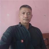 Gà 