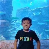 Kết