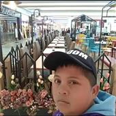 Cuố