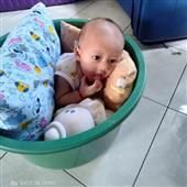 Tự 