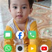 Hải