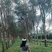 Thầ