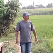 Kết