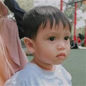 Gấu