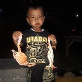 Quầ