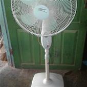 Đại