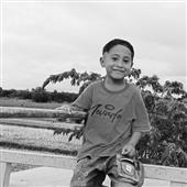 Xem