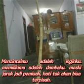Xoi