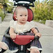 Vệ 