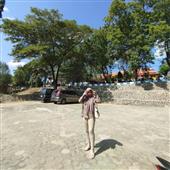 Bản