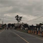 Bản
