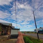 Dự 