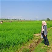 Trự