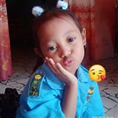 Gấu
