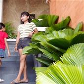 Dự 