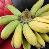 Nhậ