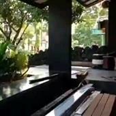 Jua