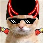 Chú